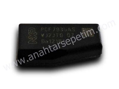 Philips Crypto ID41 Transponder - 1